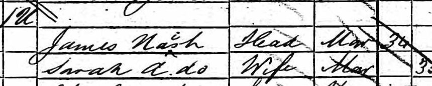 Excerpt from census showing 'i' added to Naish